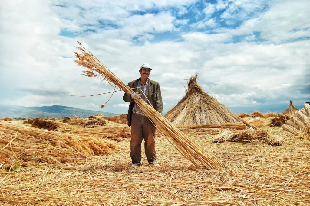 A Farmer Without Heavy Machinery